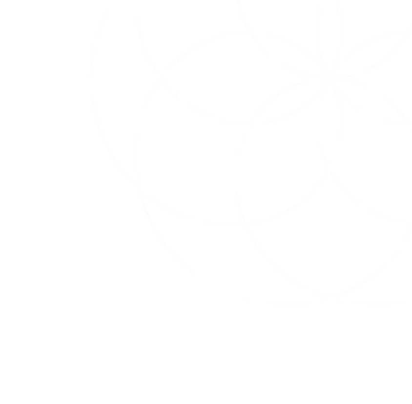 the card flower