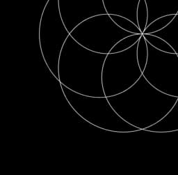 the card flower 